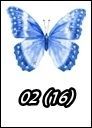 02 (16)