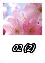 02 (2)