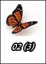 02 (3)