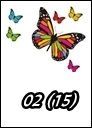 02 (15)