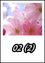 02 (2)
