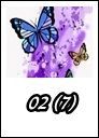 02 (7)