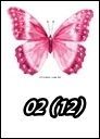 02 (12)