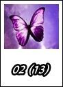 02 (13)